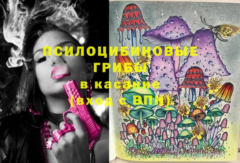 OMG   Опочка  Псилоцибиновые грибы Cubensis  закладки 